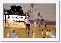 vs MSTU * (180 Slides)